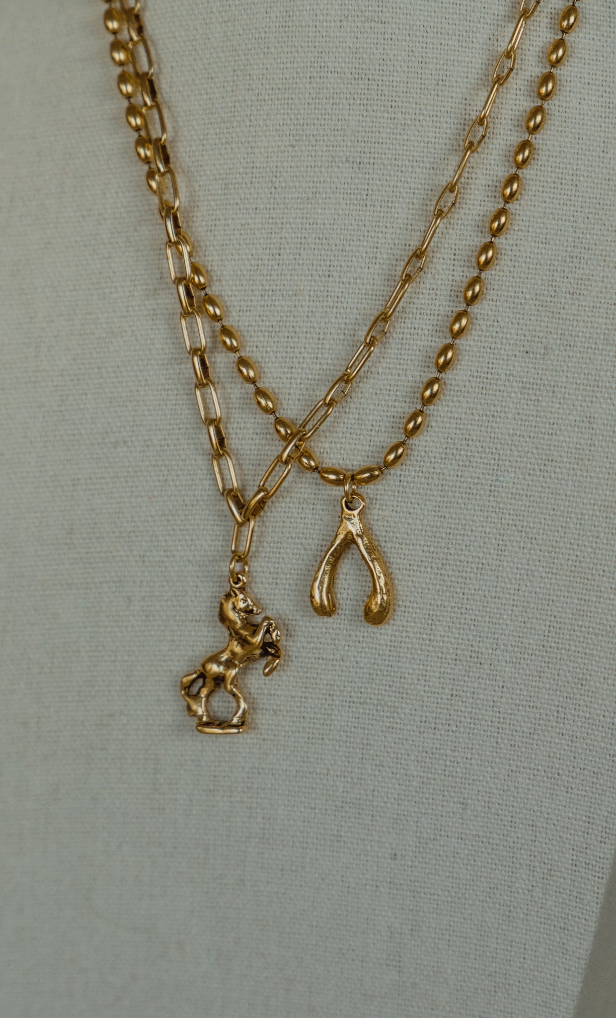 Wild Fortune Necklace