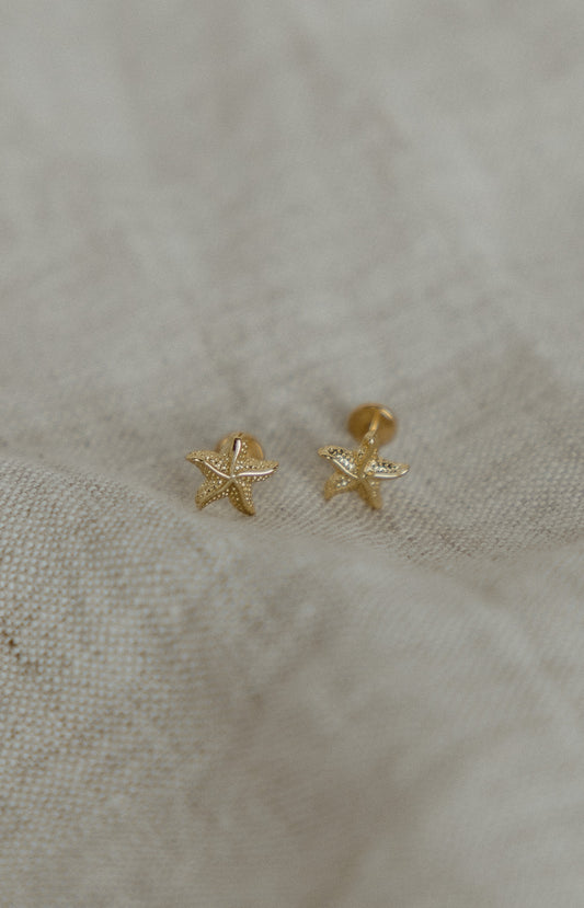 Star of the Sea Flat Backs