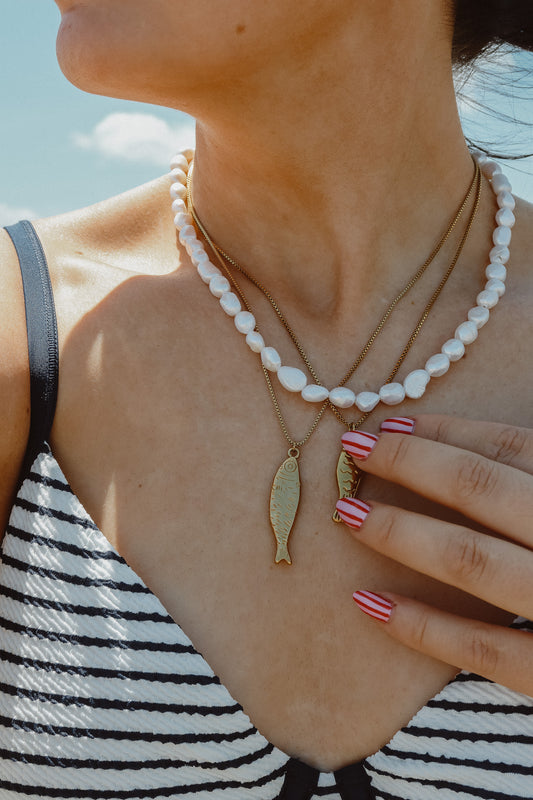 Mackerel Muse (Large Fish)