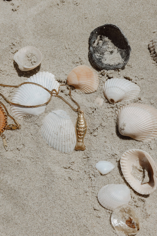 Silver Tide (Medium Fish)