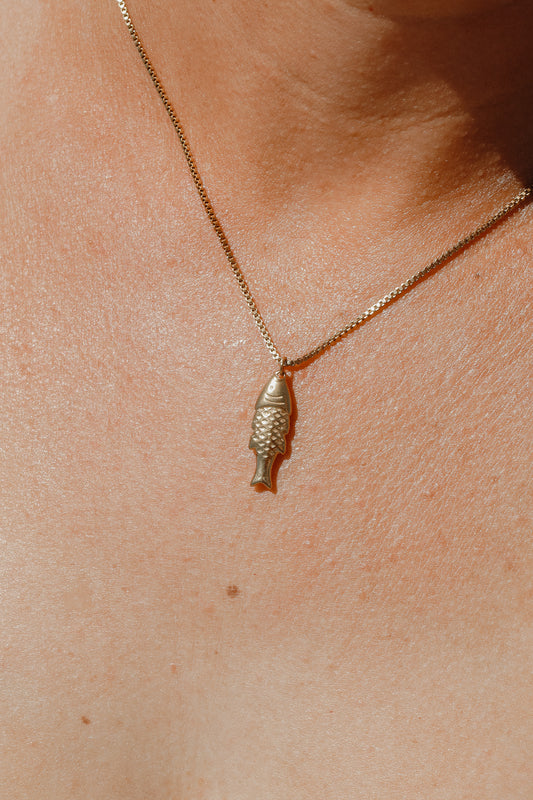 The Minnow (Small Fish)