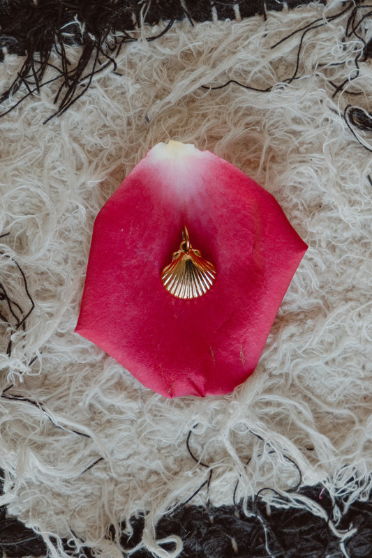 Seashell Charm