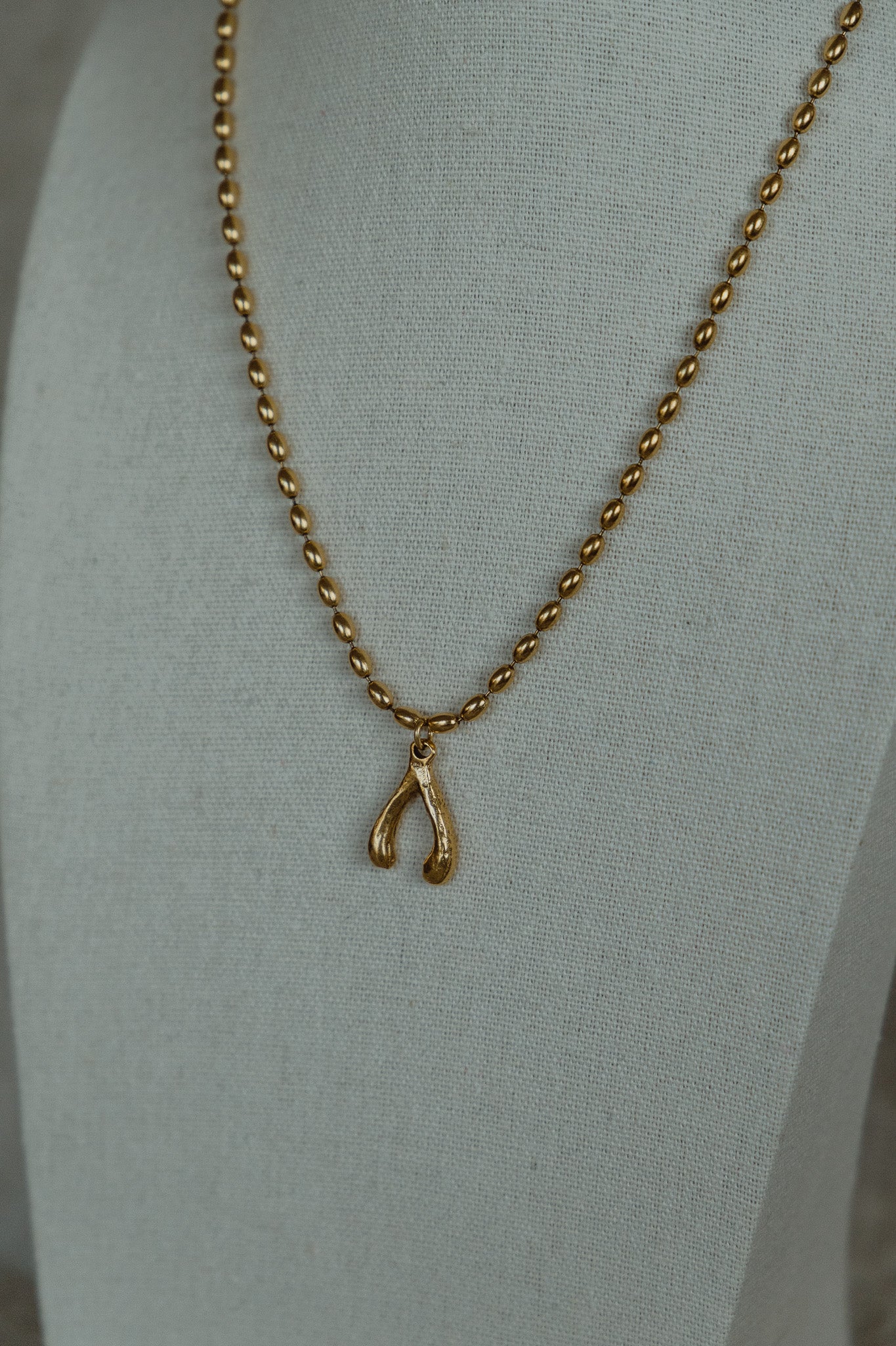 The Wishbone Necklace