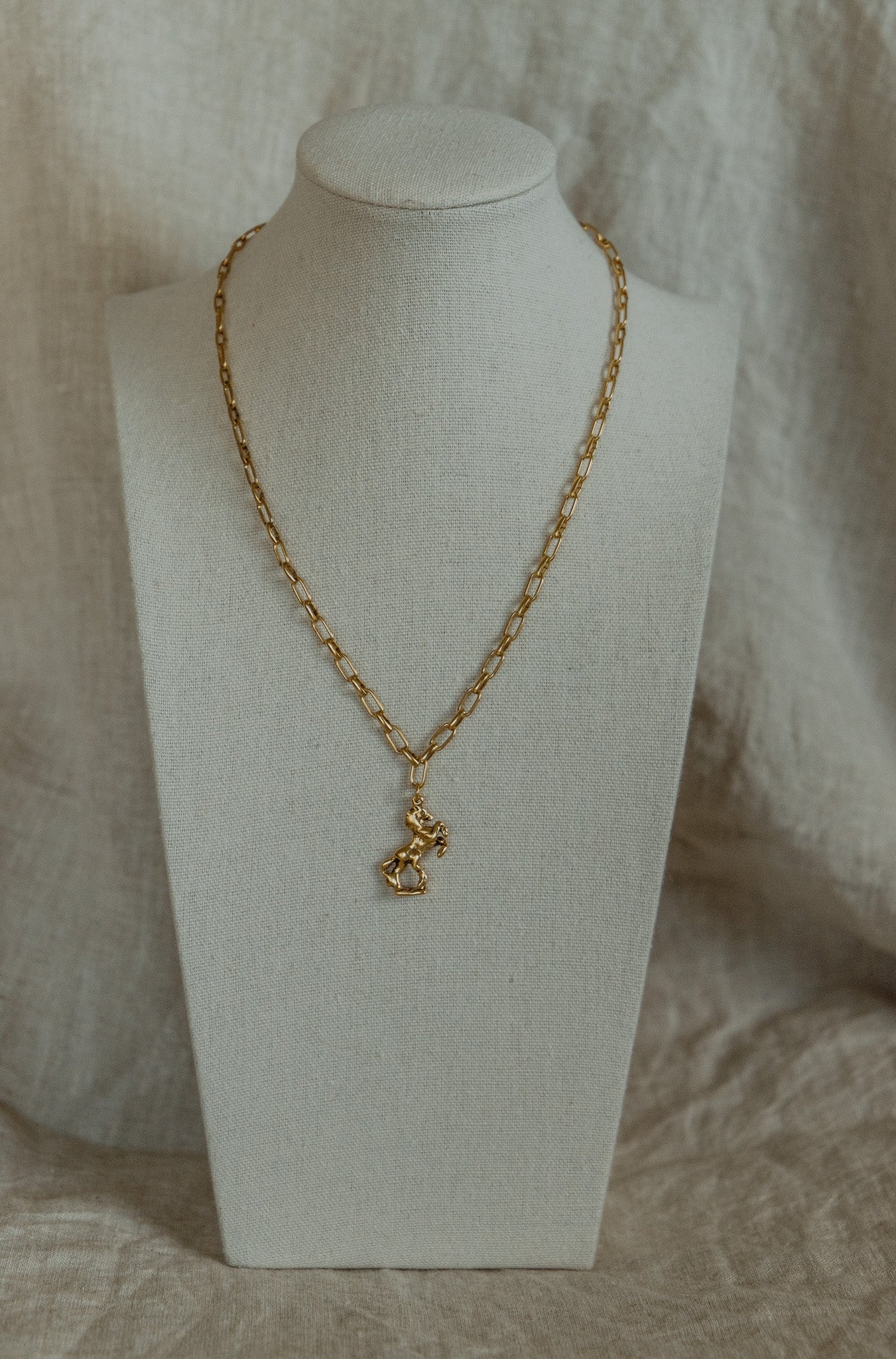 Wild Fortune Necklace