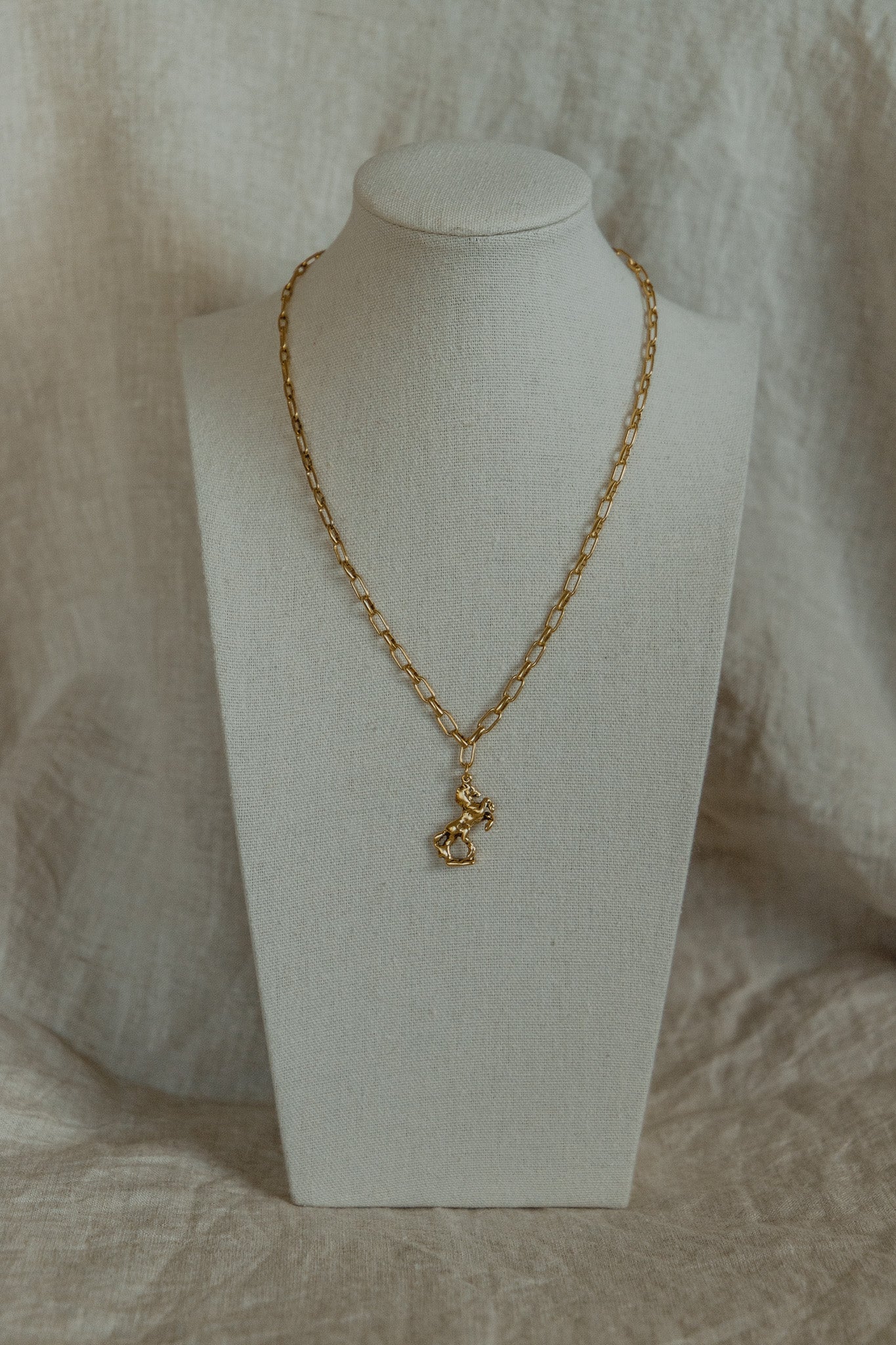 Wild Fortune Necklace
