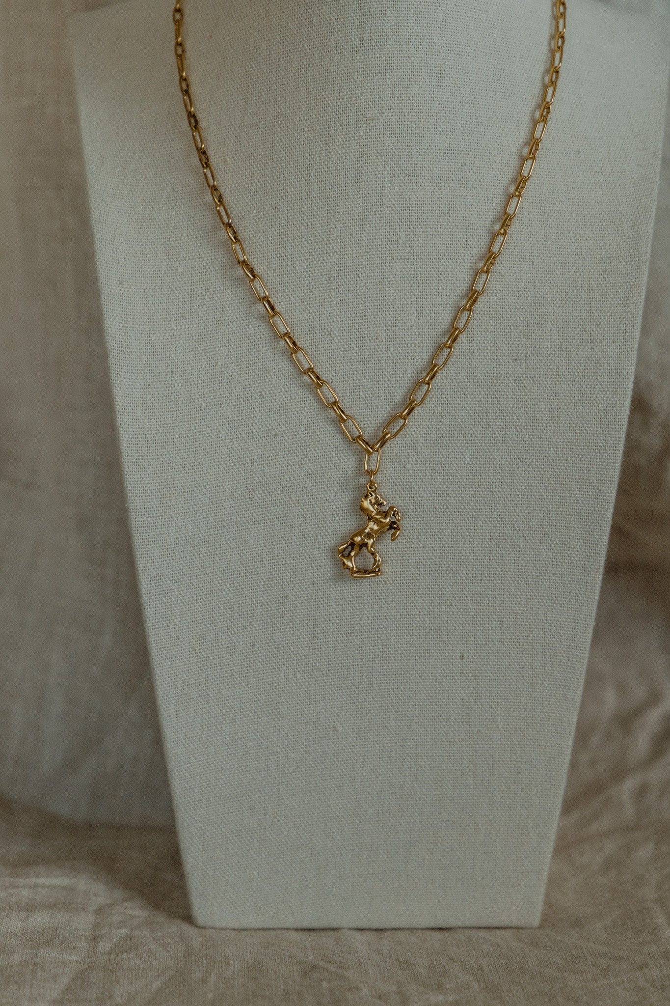 Wild Fortune Necklace