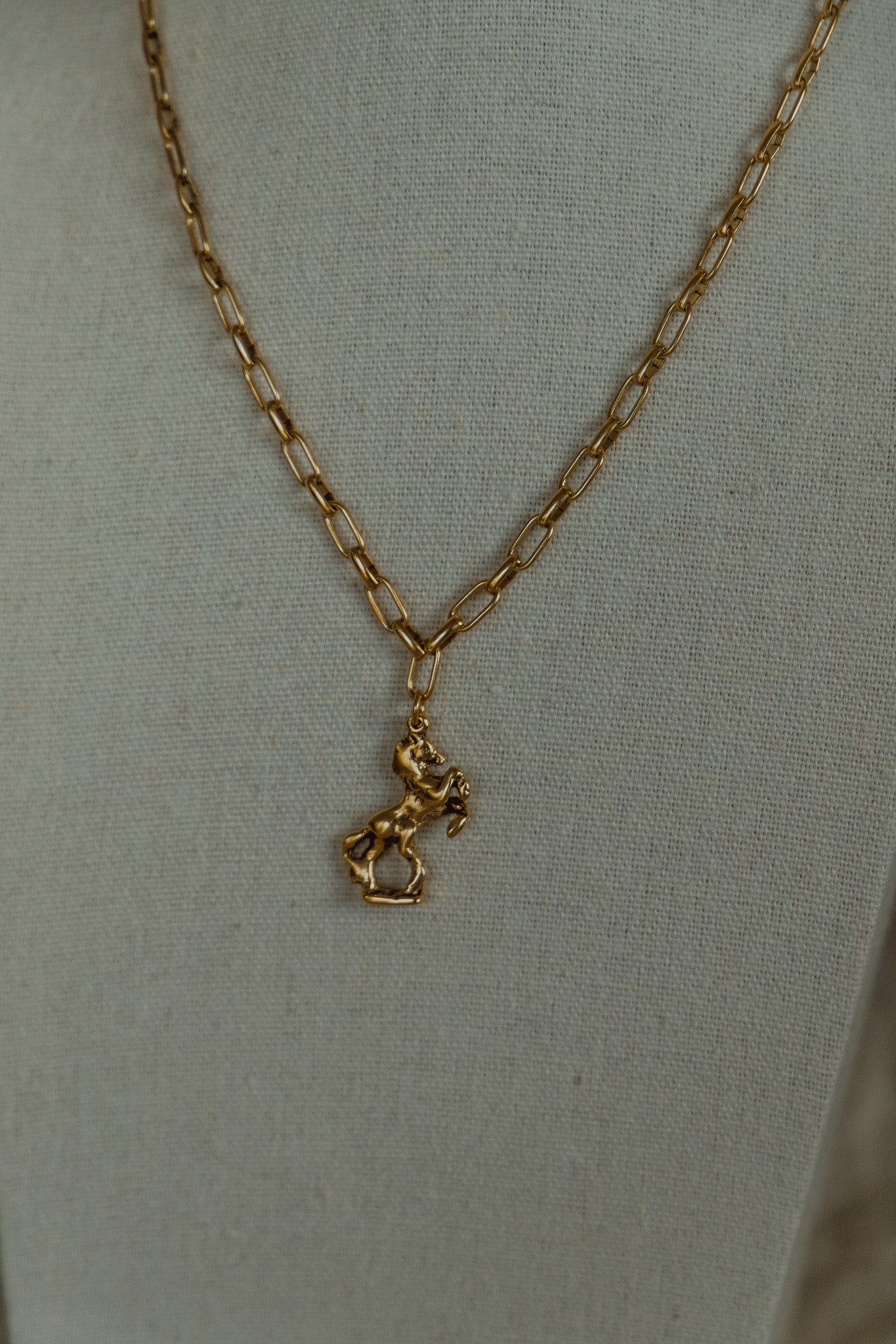 Wild Fortune Necklace