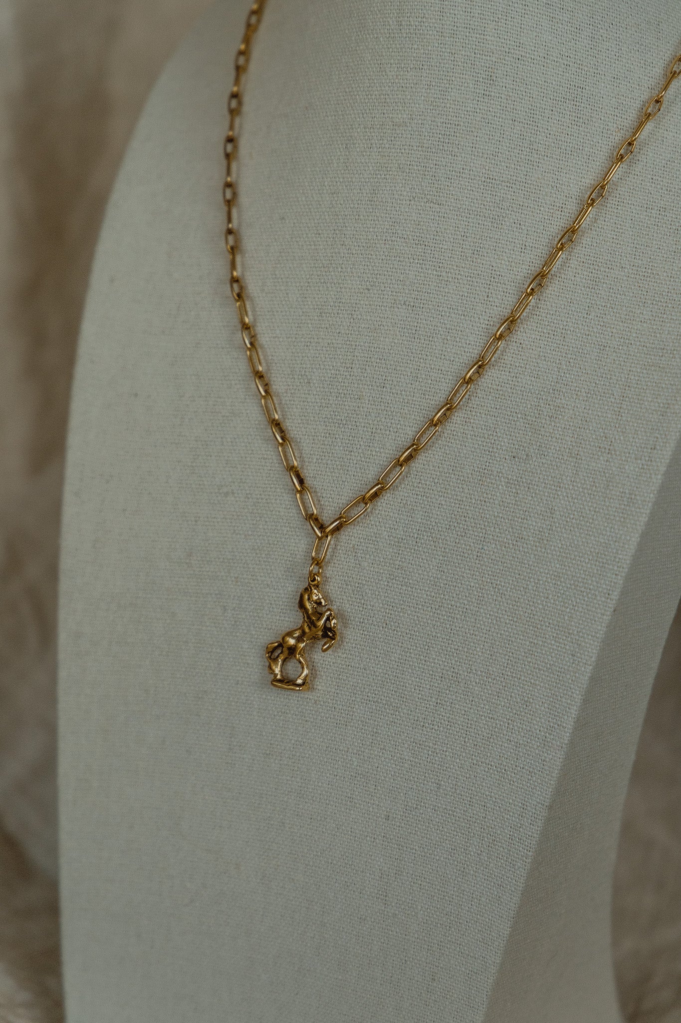 Wild Fortune Necklace