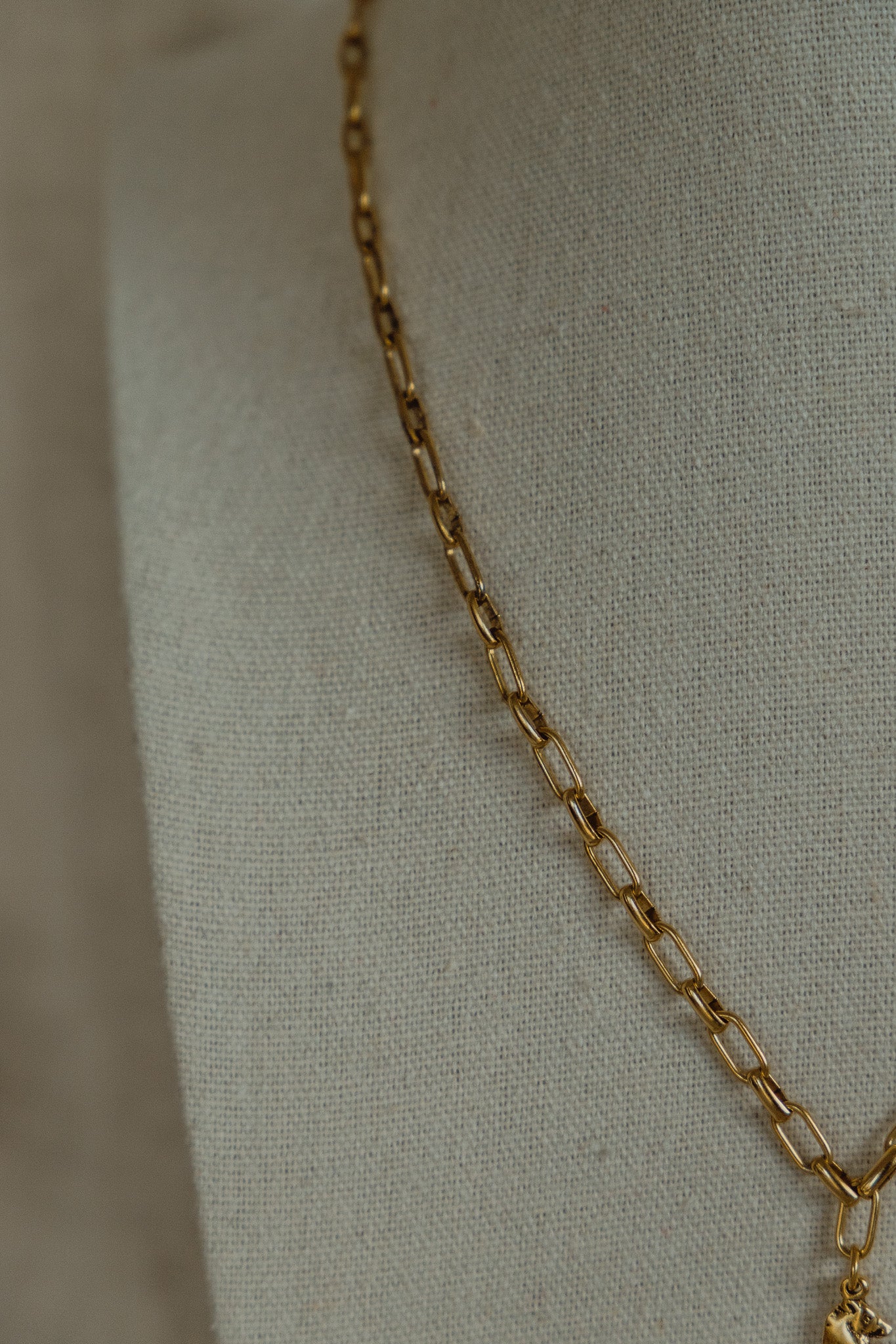Wild Fortune Necklace