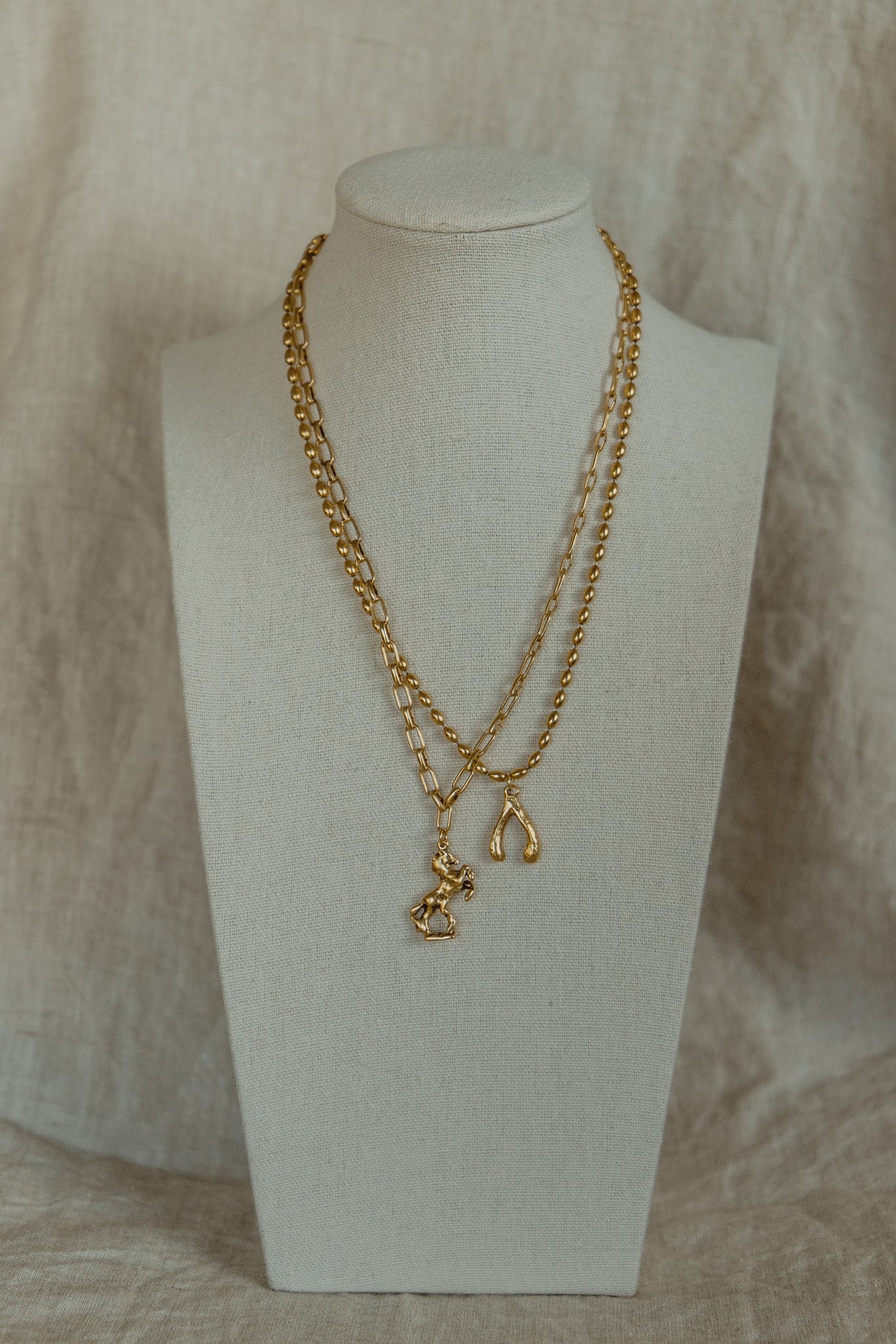 Wild Fortune Necklace