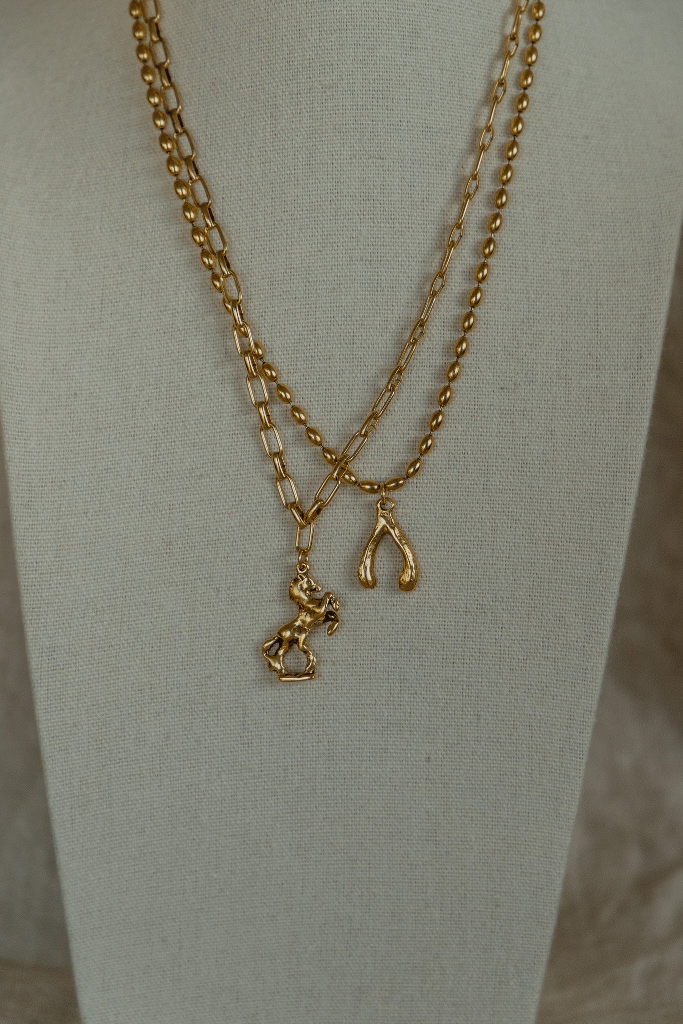 Wild Fortune Necklace