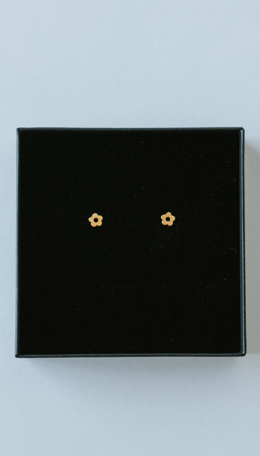 Flat Back Earring Subscription