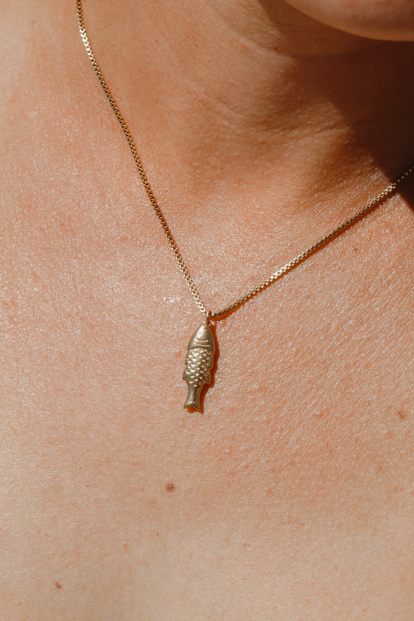 The Minnow (Small Fish)