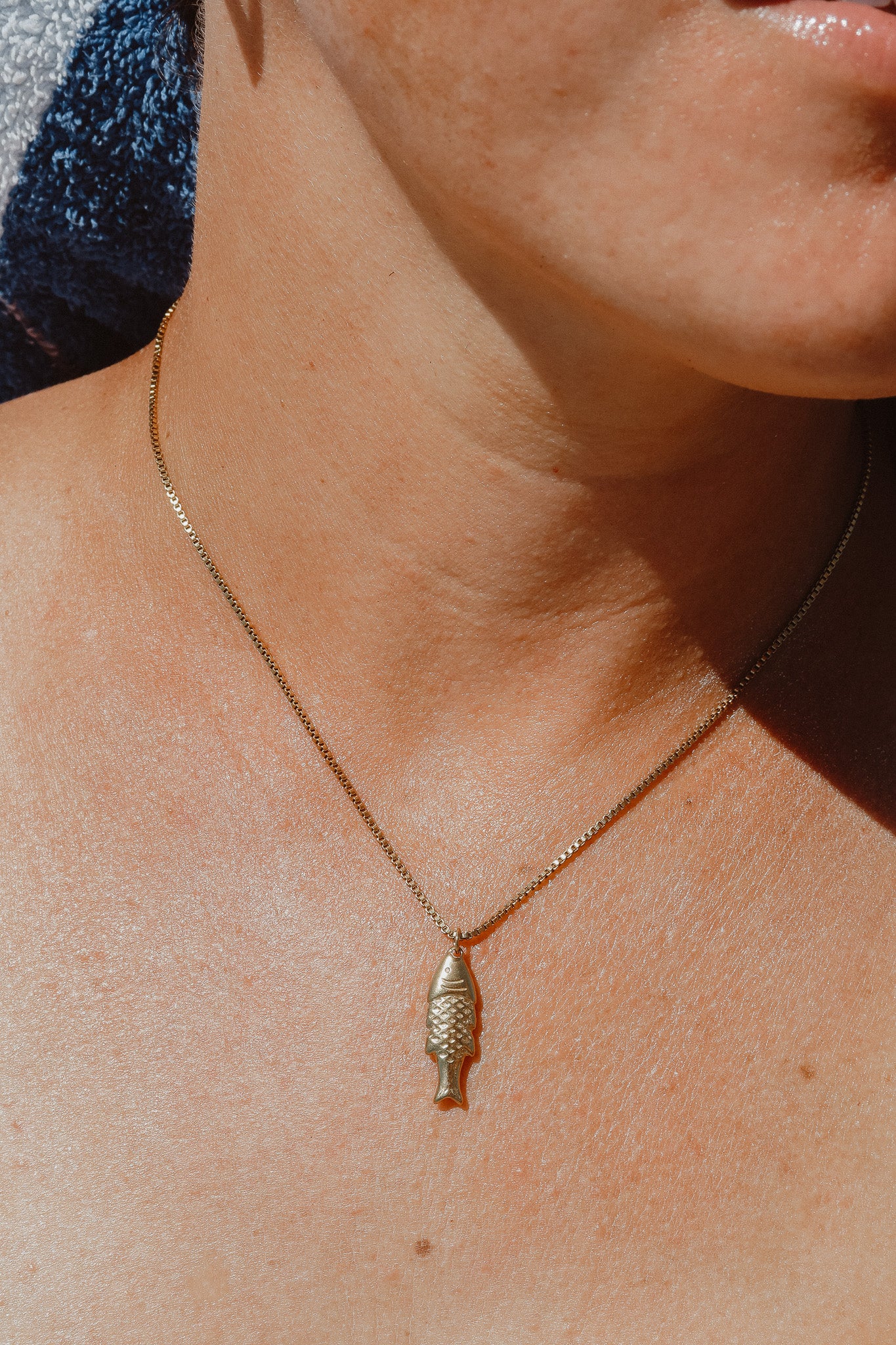 The Minnow (Small Fish)